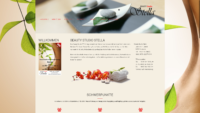 20190227-052045-https-beautystudio-stella-de--x-atf.png