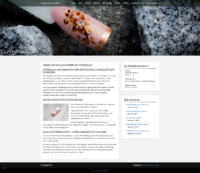 20190302-144930-http-pixynails-de--x-full.png