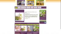 20190302-102919-http-wellness-artisteer-net--x-atf.png