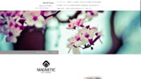 20190305-084330-https-www-naildesign-und-schulungen-rethem-de--x-atf.png
