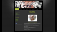 20181231-173009-https-www-the-beauty-nails-de--x-atf.png