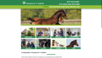 20190227-124518-https-www-tierarztpraxis-nagelfeld-de-startseite--x-atf.png