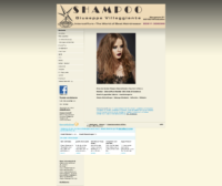 20190303-102456-https-www-friseur-shampoo-de--x-full.png