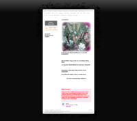 20190303-021140-https-www-la-estetica-de--x-full.png