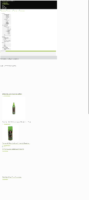 20190228-001023-http-delightcosmetics-de--x-full.png