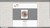 20190227-231826-https-steennails-de--x-atf.png