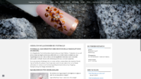 20190302-144930-http-pixynails-de--x-atf.png