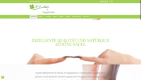 20190303-220331-http-www-hpnails-de--x-atf.png