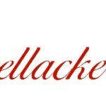 logo_retina