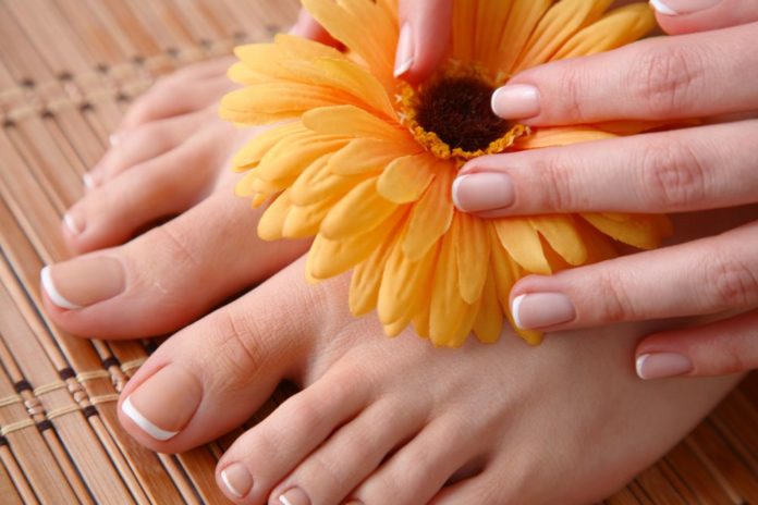 Care for beautiful woman legs with flower . Beautiful woman legs Gepflegte Füße und Hände